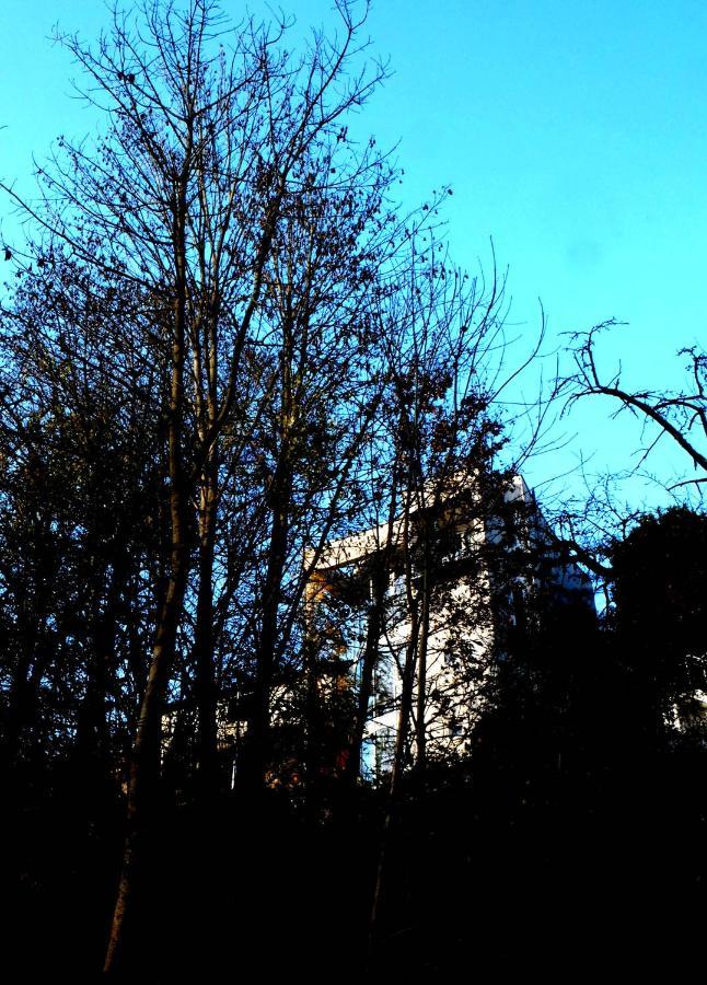 Ferienwohnung Im Turm Bellevue Mit 3 Schlafzimmern ساشسينهايم المظهر الخارجي الصورة